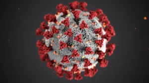 Pfizer Pre Vaccination information